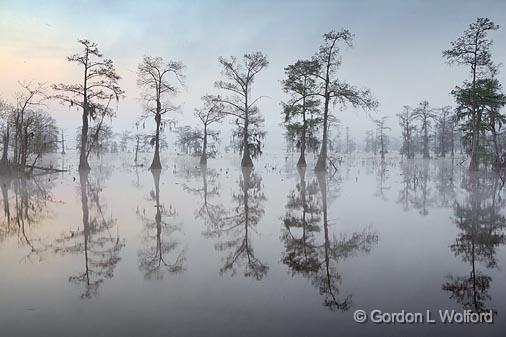 Foggy Lake Martin_45787.jpg - Photographed at Lake Martin near Breaux Bridge, Louisiana, USA.